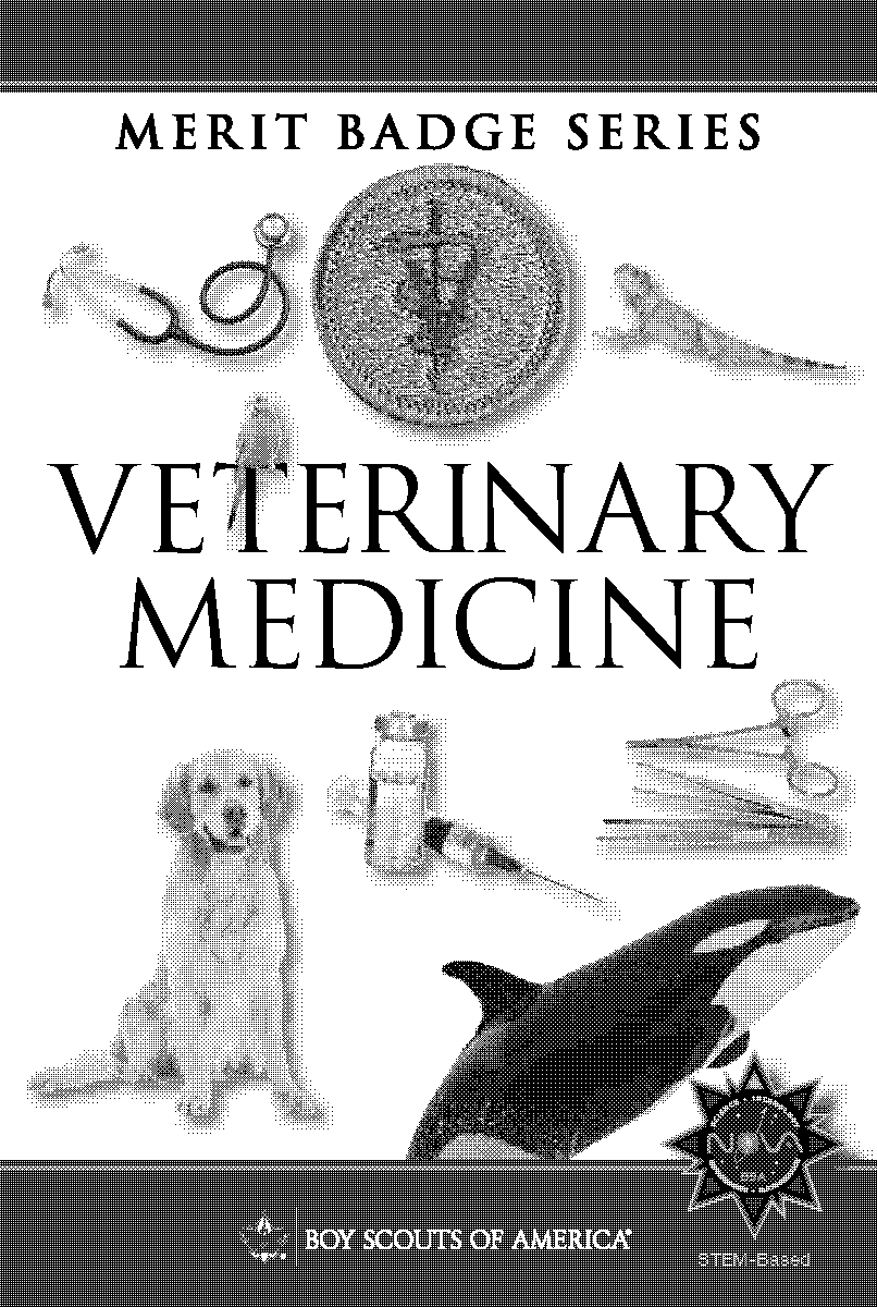 requirements to become a registered veterinary technician in california ava