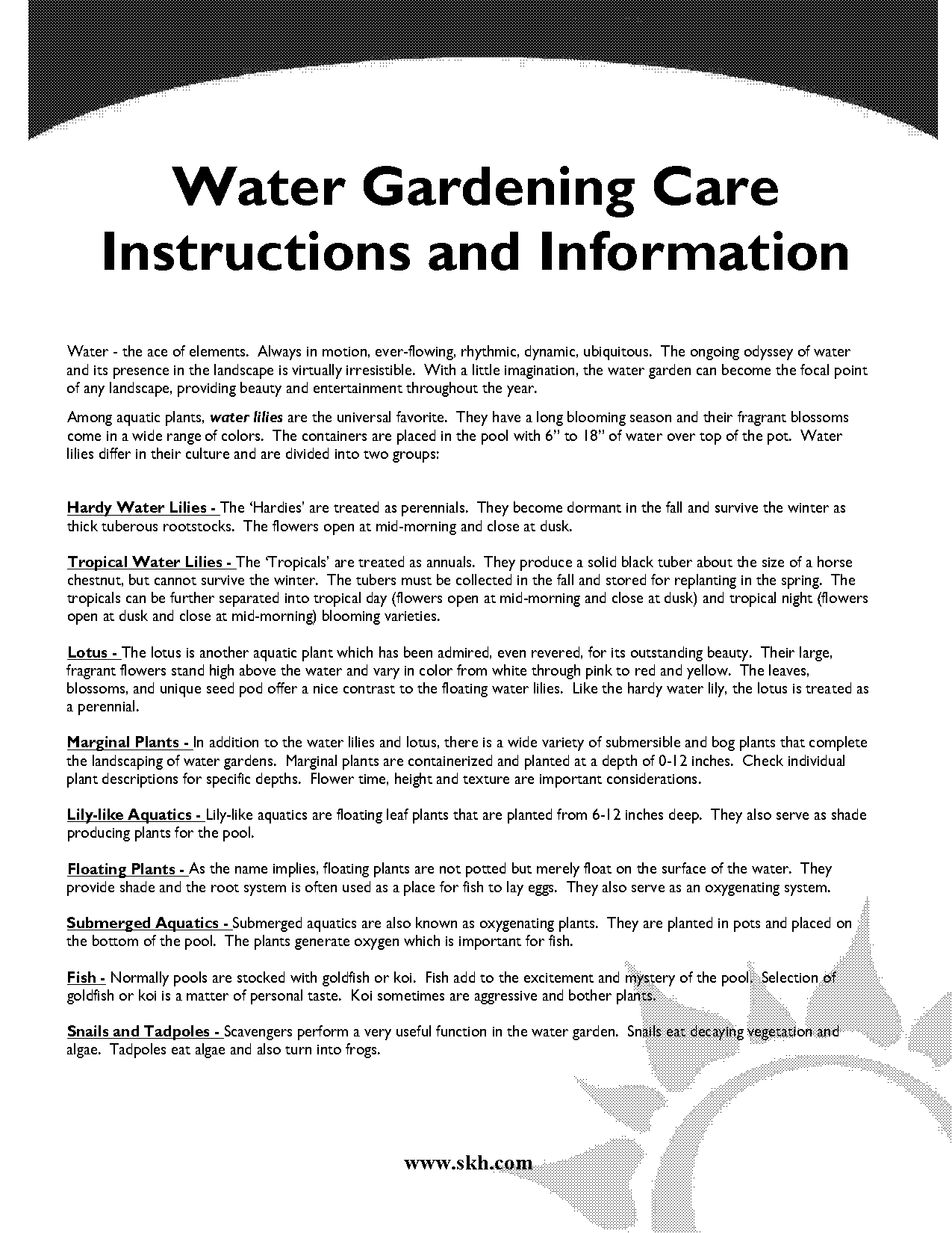 water lily care instructions