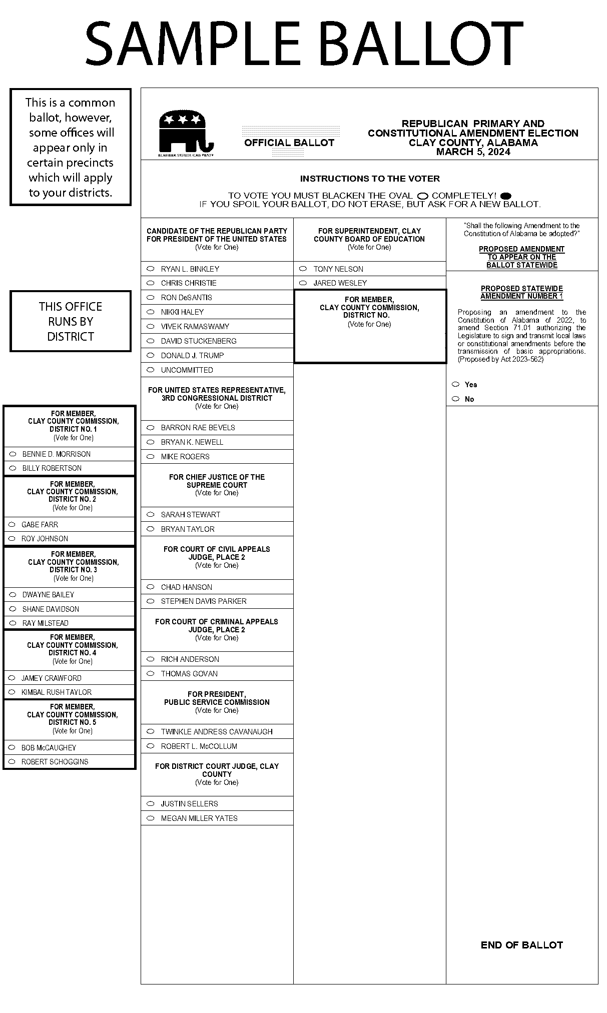 davidson county board of elections sample ballot