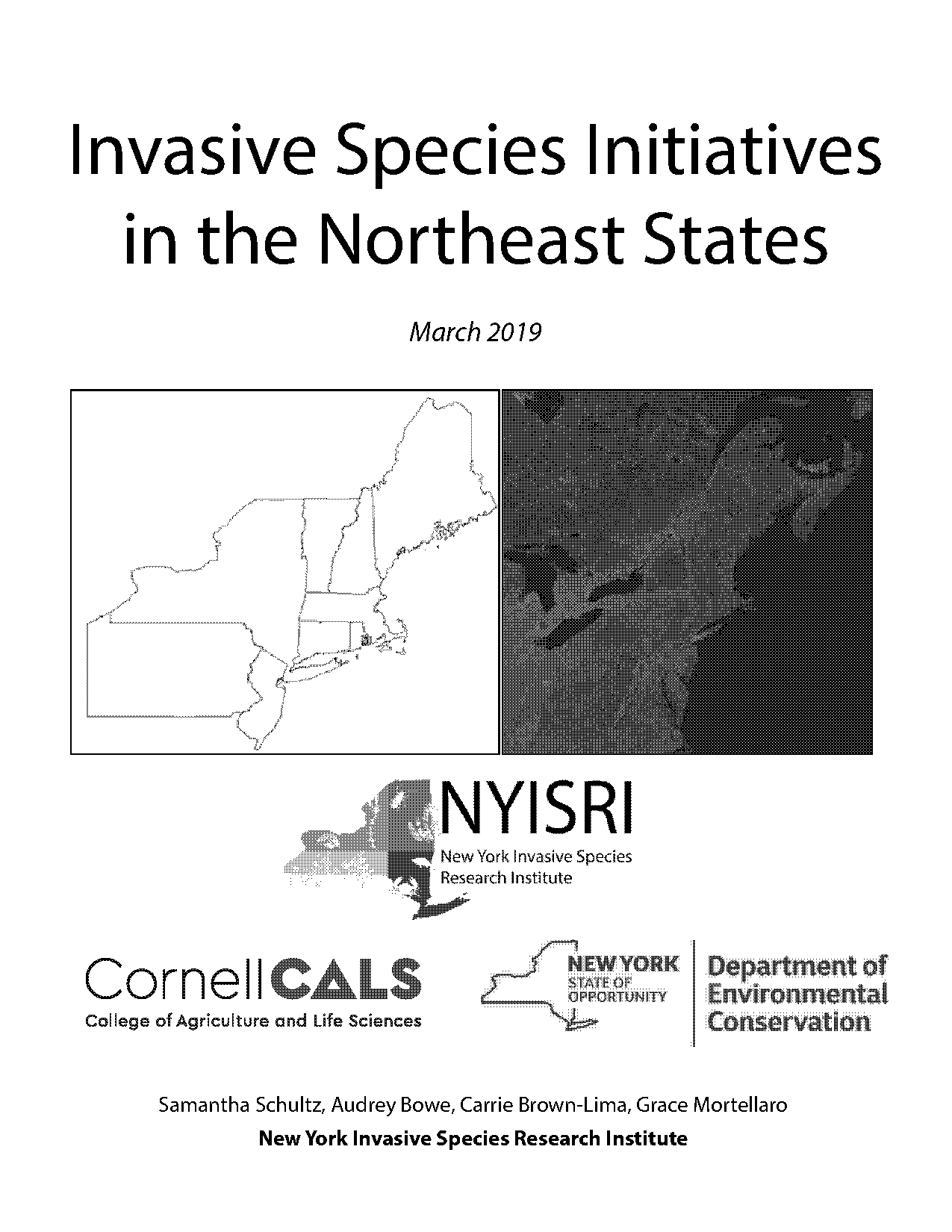 the northeast states map blank