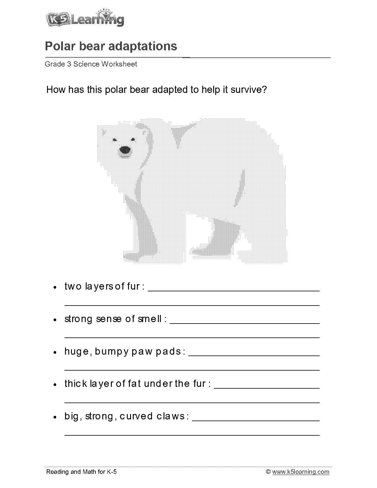 bear for preschoolers worksheet